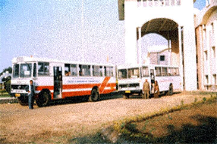 transport